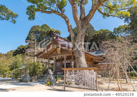 鐮戶神社 40520139
