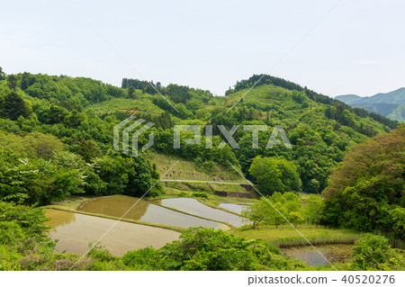 Sawajiri的Miyagi Marumori米露台 Sawajiri的Miyagi Marumori米露台 40520276