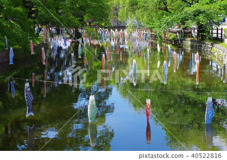 新鮮的綠色池塘和鯉魚飄帶 新鮮的綠色池塘和鯉魚飄帶 40522816