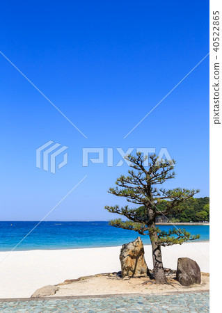 Shirahama Hama Wakayama縣在清晨 40522865