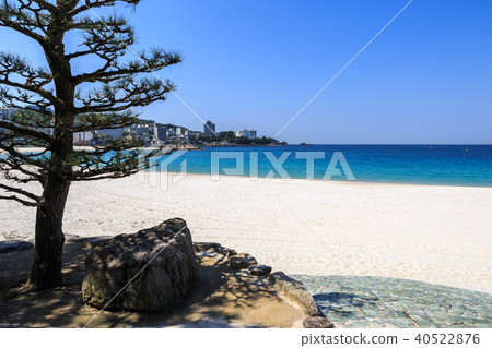 Shirahama Hama Wakayama縣在清晨 40522876