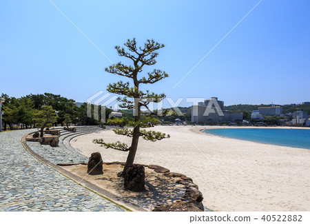 Shirahama Hama Wakayama縣在清晨 40522882