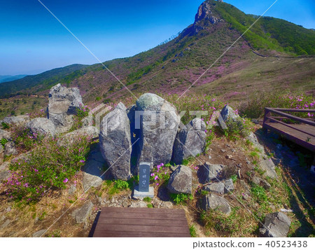 Landscape of Hwangmae Mountain, South Korea, Asia Landscape of Hwangmae Mountain, South Korea, Asia 40523438