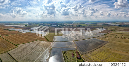 rice farmed fields in italy aerial view rice farmed fields in italy aerial view 40524452