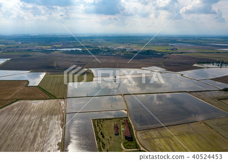 rice farmed fields in italy aerial view rice farmed fields in italy aerial view 40524453
