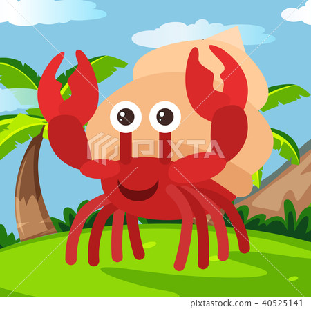 Happy Hermit crab in Land 40525141