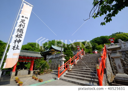 Ashika Orihime Shrine(Temizusha) Ashika Orihime Shrine(Temizusha) 40525631