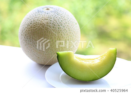 安第斯山梅隆 安第斯山梅隆 40525964