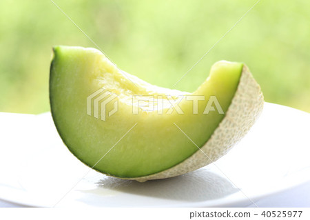 安第斯山梅隆 安第斯山梅隆 40525977