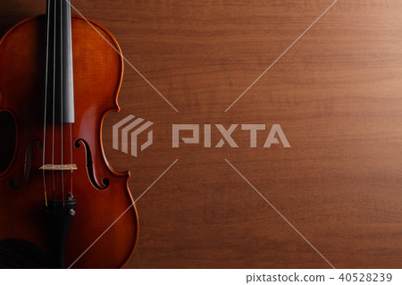  Violin 40528239