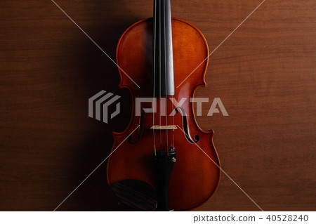 Violin  Violin 40528240