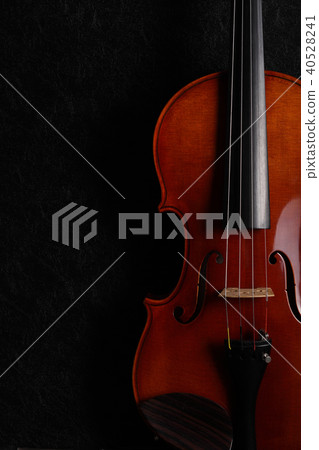Violin  Violin 40528241