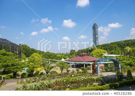 東山動植物園 初夏 花園-圖庫照片 [40528286] - pixta