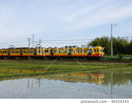 A train where Sanki Railway Sanki Line shines on the water surface of rice fields 40528343
