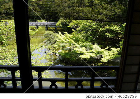 Kyoto Imperial Palace, Kujo Family Remains, Tea Room, Sukiya, Shoin-style 40528759