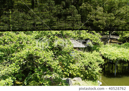 京都御所,Kujo家庭遺跡,茶室,Sukiya,Shoin風格 京都御所,Kujo家庭遺跡,茶室,Sukiya,Shoin風格 40528762