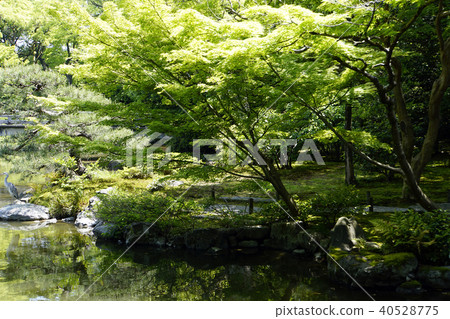 京都御所,Kujo家庭遺跡,茶室,Sukiya,Shoin風格 京都御所,Kujo家庭遺跡,茶室,Sukiya,Shoin風格 40528775