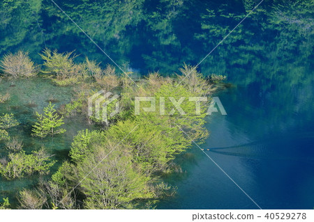 新鮮的綠色湖泊的深處 40529278