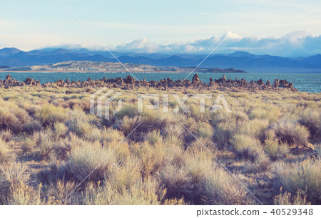 Mono lake 40529348