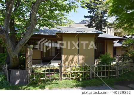 Matsukage新鮮綠色茅崎 40529832