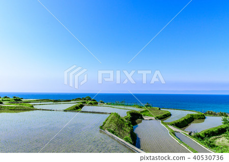 Tanada Kyoto of Sodeshi Tanada Kyoto of Sodeshi 40530736