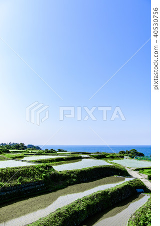 Sodeshi的Tanada Kyoto 40530756