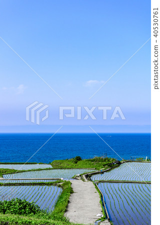 Sodeshi的Tanada Kyoto 40530761