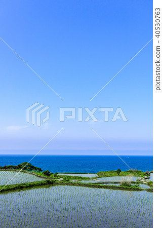 Sodeshi的Tanada Kyoto Sodeshi的Tanada Kyoto 40530763