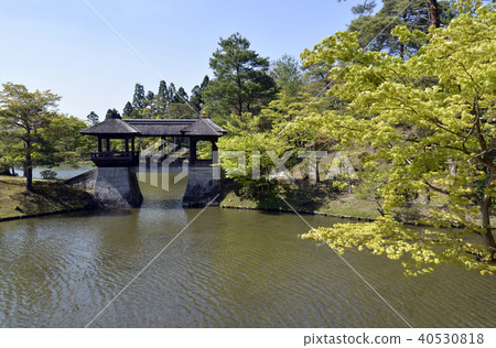 Shogakuin Rikyu Chitose Bridge 40530818