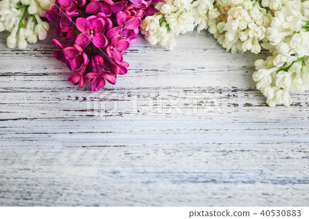 green on a wooden background 40530883