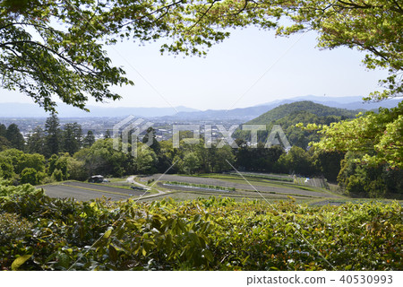 Shugakuin Rikyu Kamirikyu的場景 40530993