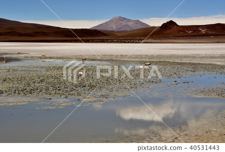 Laguna Edion da Laguna Edion da 40531443
