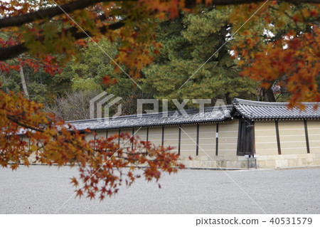 Tonosho Sendong Imperial Palace Kyoto Imperial Palace Autumn leaves Kyoto 40531579