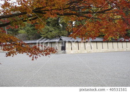Tonosho Sendong Imperial Palace Kyoto Imperial Palace Autumn leaves Kyoto 40531581