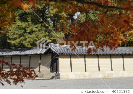 Tonosho Sendong Imperial Palace Kyoto Imperial Palace Autumn leaves Kyoto 40531585