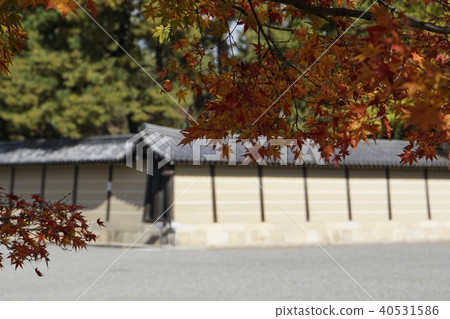 Tonosho Sendong Imperial Palace Kyoto Imperial Palace Autumn leaves Kyoto 40531586