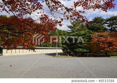 Tonosho Sendong Imperial Palace Kyoto Imperial Palace Autumn leaves Kyoto 40531588