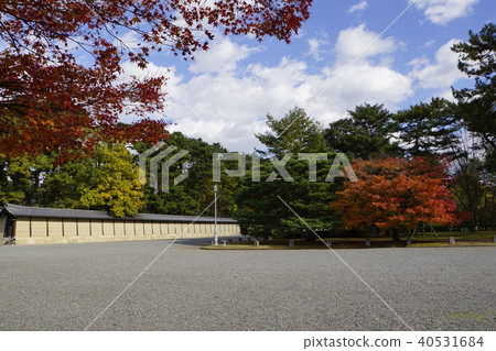 Tonosho Sendong Imperial Palace Kyoto Imperial Palace Autumn leaves Kyoto 40531684