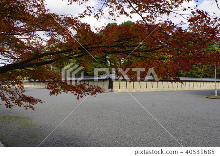 Tonosho Sendong Imperial Palace Kyoto Imperial Palace Autumn leaves Kyoto Tonosho Sendong Imperial Palace Kyoto Imperial Palace Autumn leaves Kyoto 40531685