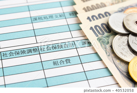 Salary statement Social insurance Total salary Monthly salary wage Salary statement Social insurance Total salary Monthly salary wage 40532058