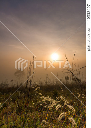 Beautiful sunrise with foggy environment 40532497