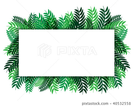 White paper green leaves  vector abstract  nature  40532558