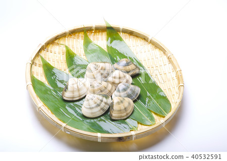  Kodama shellfish Kodamagai ingredients 40532591
