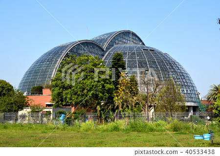 Yume no Island熱帶植物園 40533438