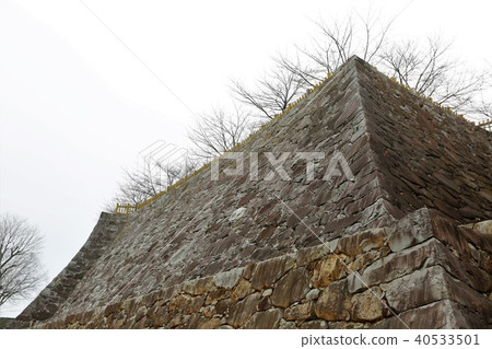Kofu Castle Kofu Castle 40533501
