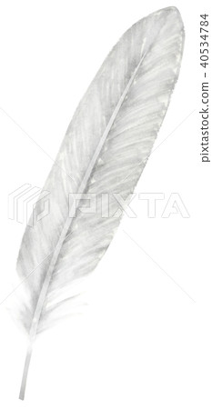 手繪鳥的羽毛銀 手繪鳥的羽毛銀 40534784