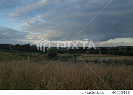 Russia. Wheat field 40535416