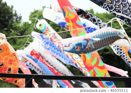 Carp streamer Carp streamer 40535511