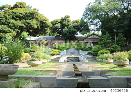 Gerard's ruins of the water house Gerard's ruins of the water house 40536466
