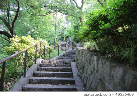Stairway of park Stairway of park 40536469